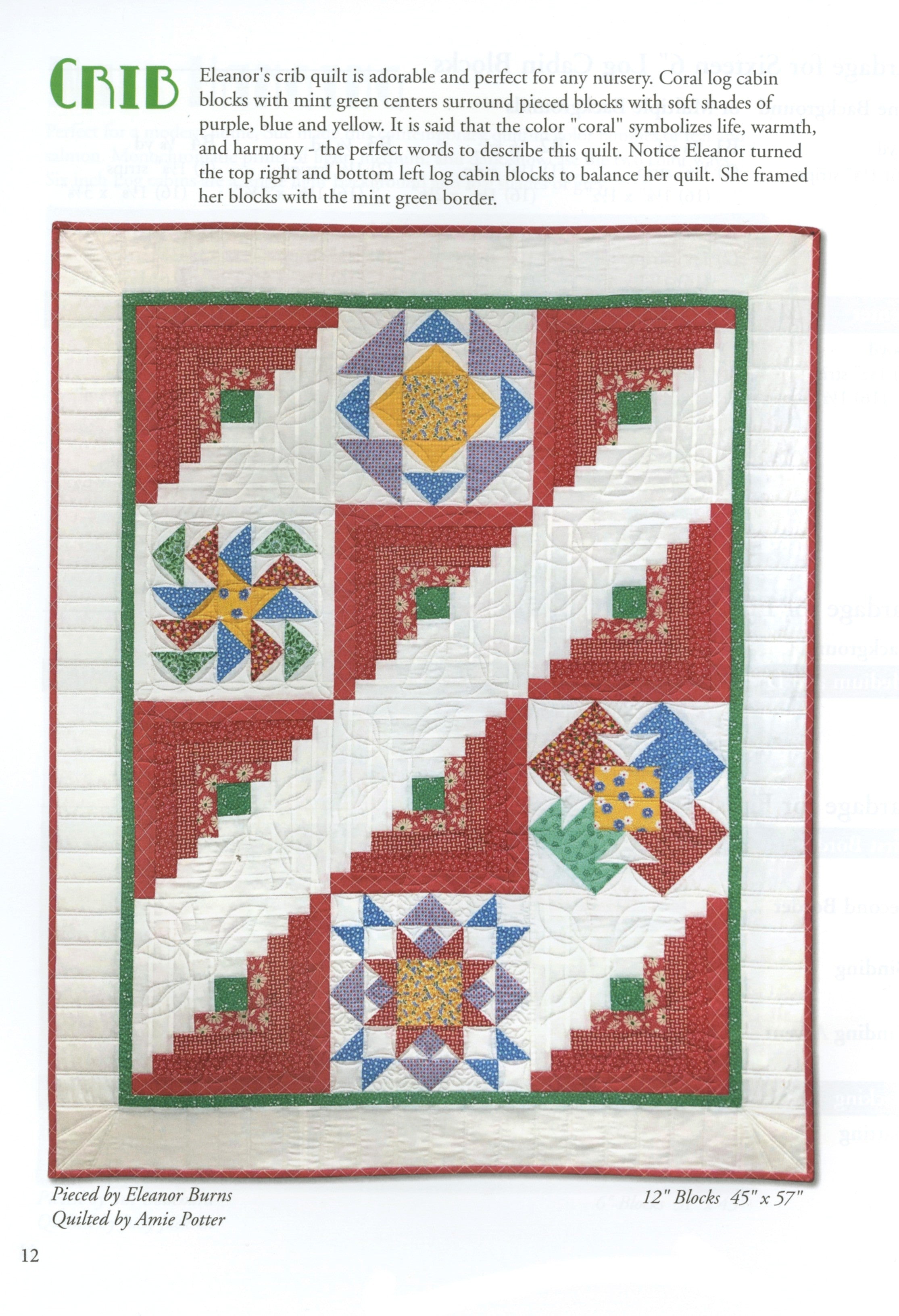 Forty Fabulous Years Quilt Pattern Book by Eleanor Burns for Quilt In A Day - Dings & Dents