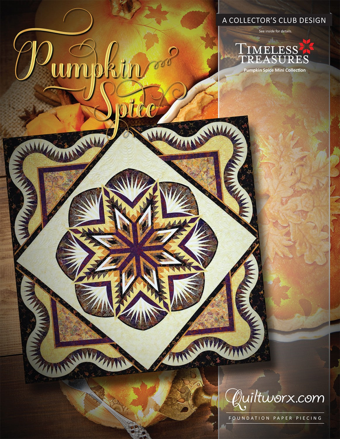 Pumpkin Spice Foundation Paper Pieced Quilt Pattern by Judy Niemeyer of Quiltworx