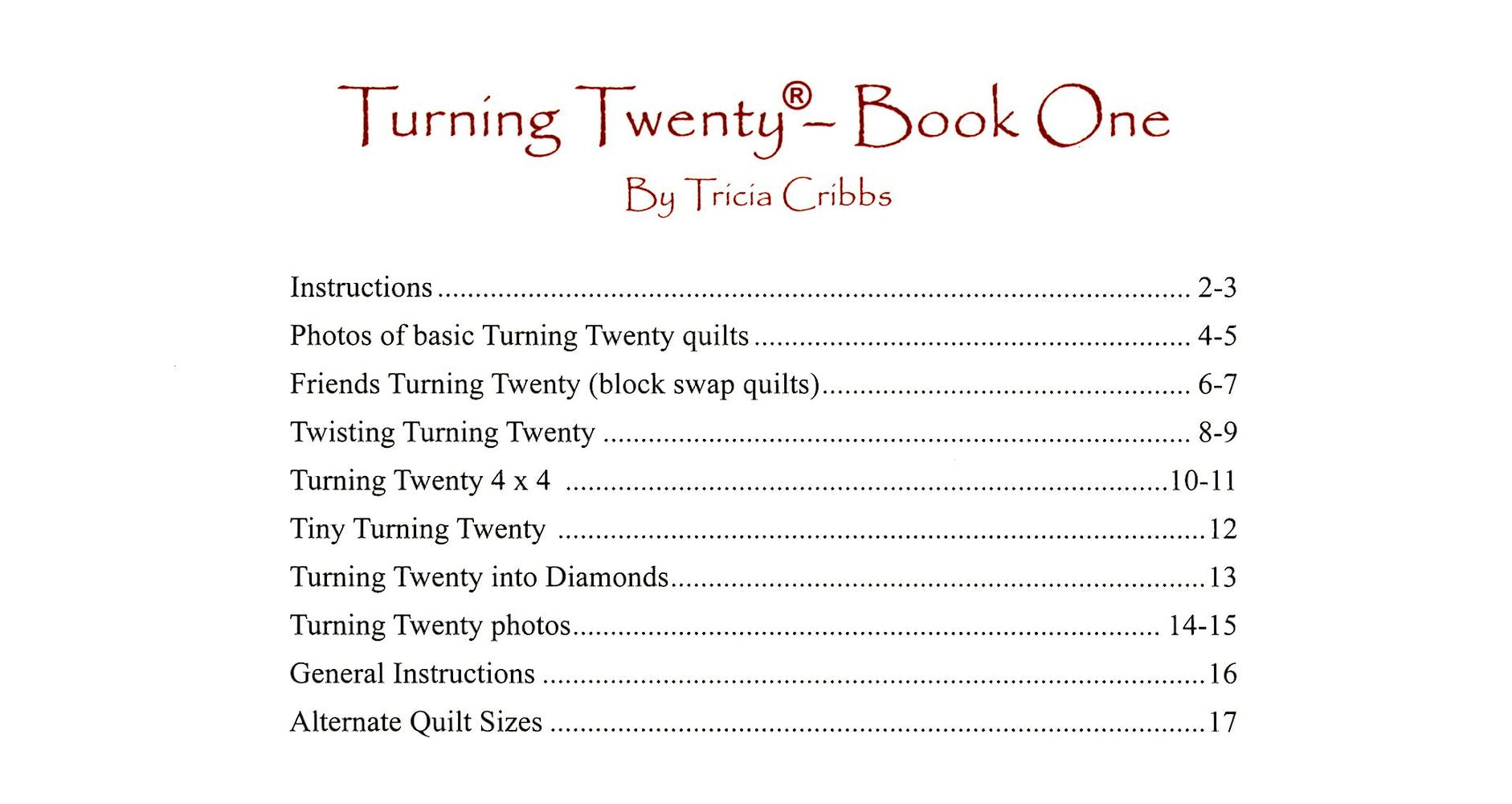 Turning Twenty Just Got Better Quilt Pattern Book by Tricia Cribbs of Friendfolks - Dings & Dents