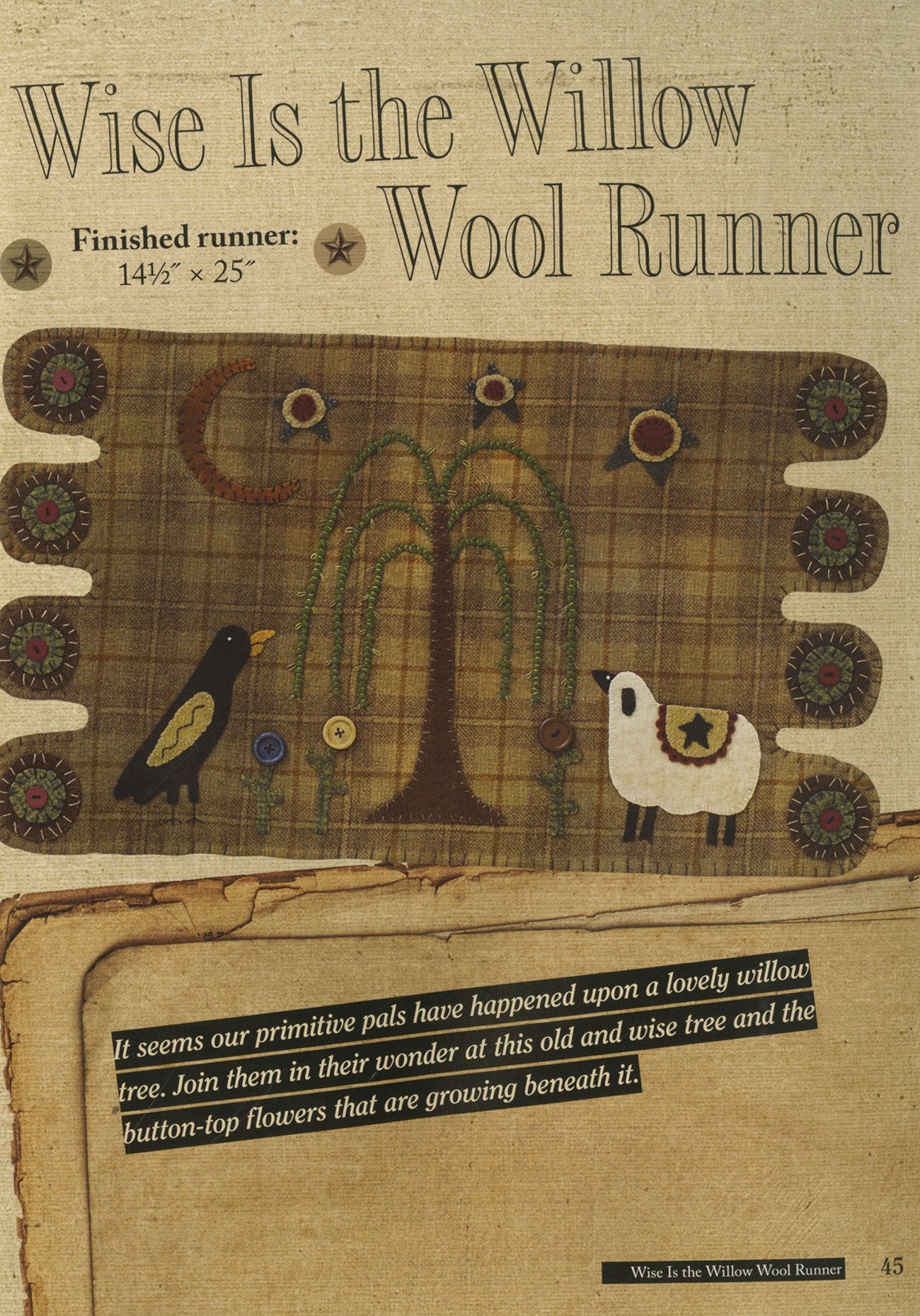 Robin Vizzone's Peculiar Primitives: A Collection of Eclectic Projects for Kansas City Star Quilts