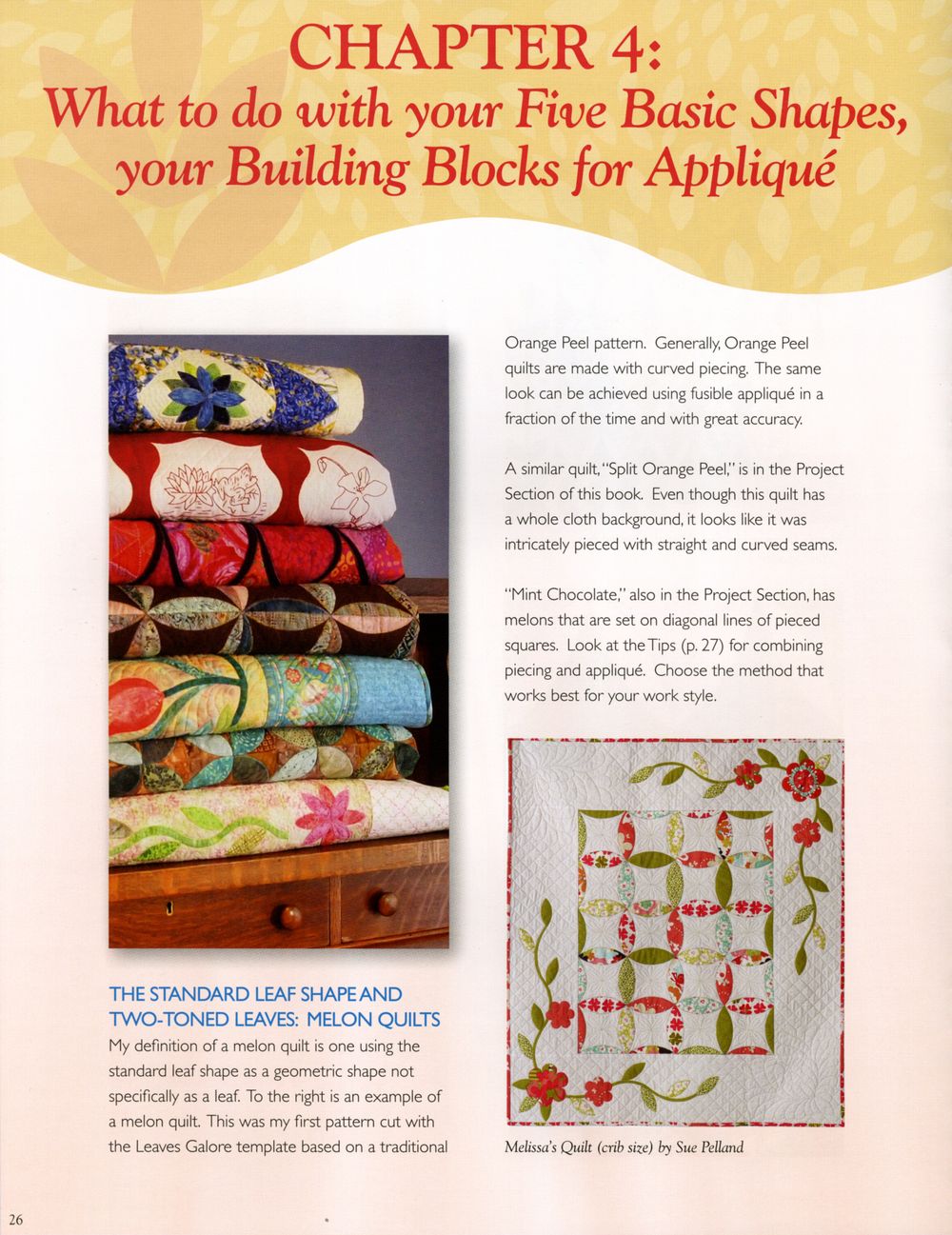 Rotary Cut Applique Using Leaves Galore Quilt Templates Quilt Book by Sue Pelland - Dings & Dents