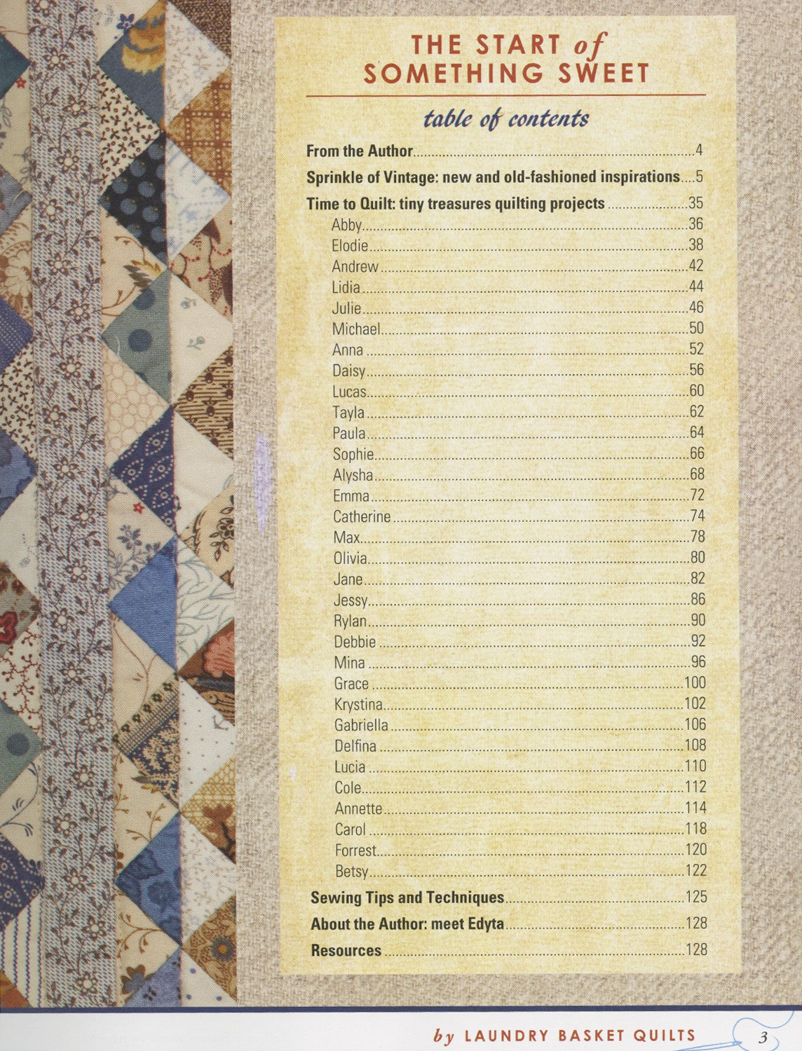 Little Handfuls Of Scraps Quilt Book by Edyta Sitar of Laundry Basket Quilts - Dings & Dents