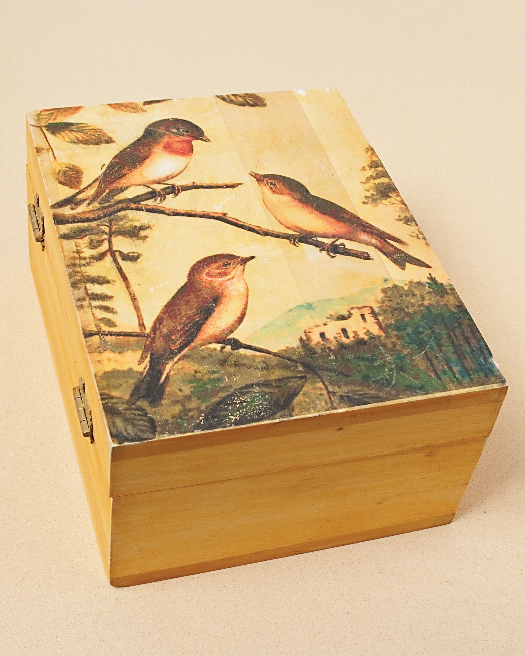 Lesley Riley's TAP Transfer Artist Paper 8-1/2-Inch x 11-Inch 18 Pack by C&T Publishing