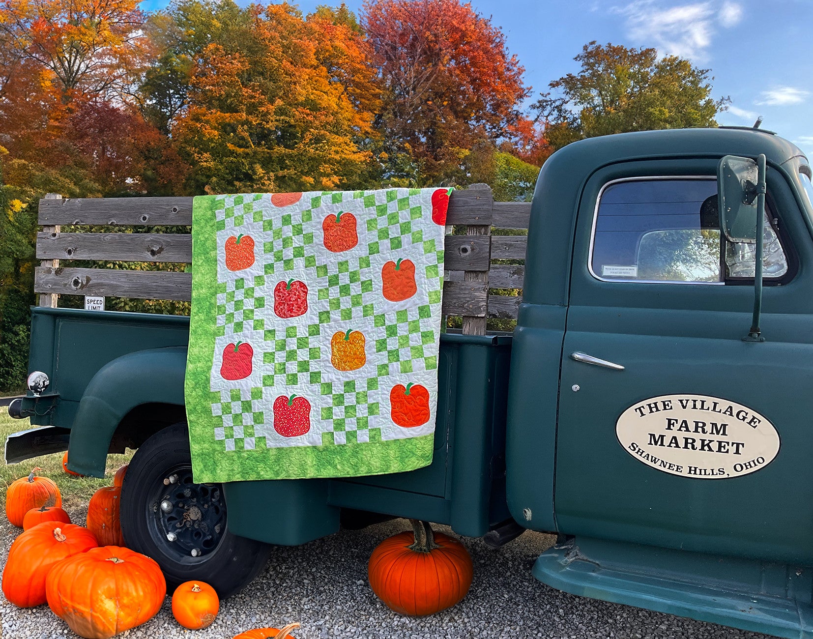 Perfect Pairings Quilt Pattern Booklet from Amelie Scott Designs