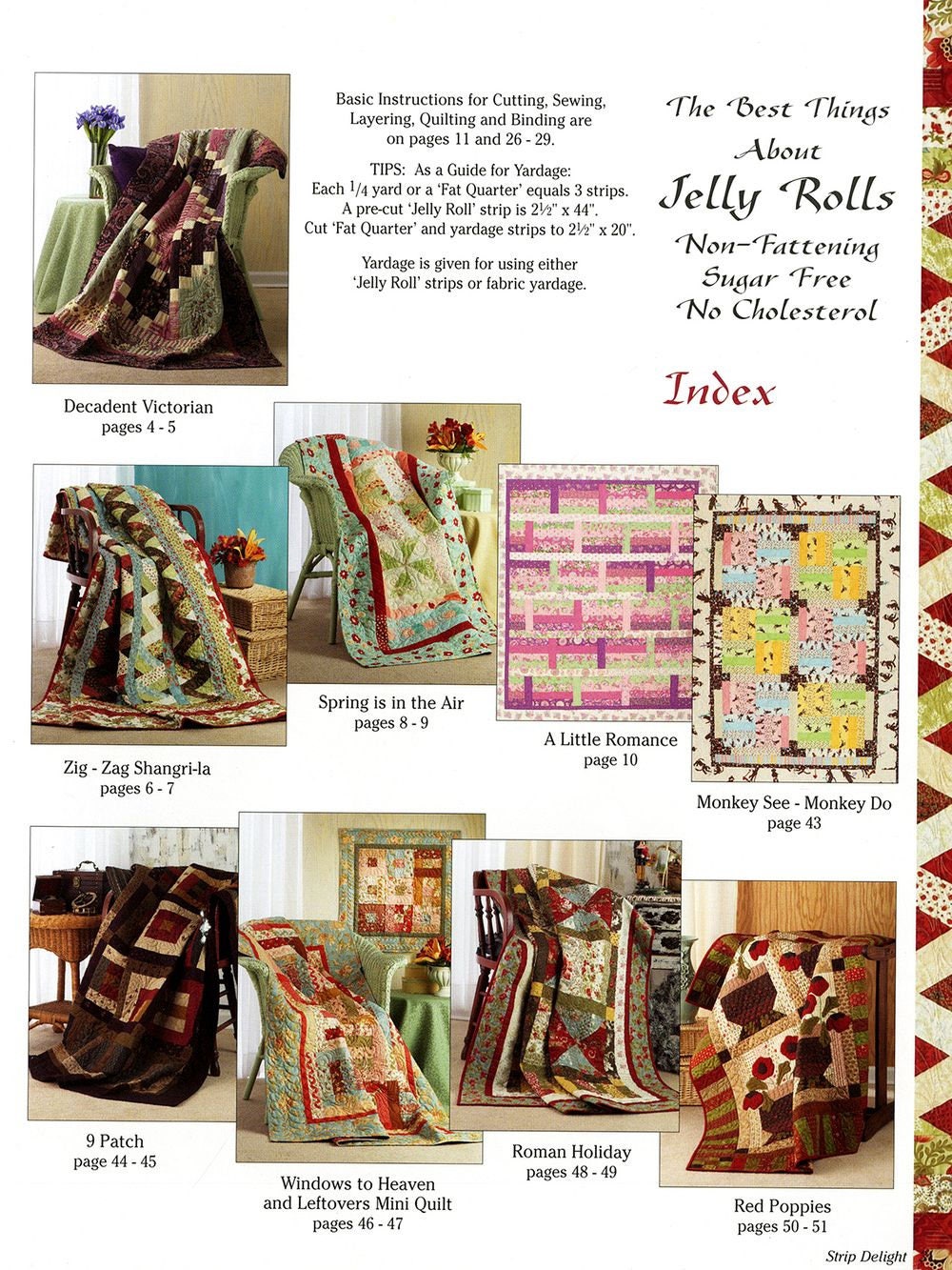 Strip Delight Quilt Pattern Book by Suzanne McNeill for Design Originals