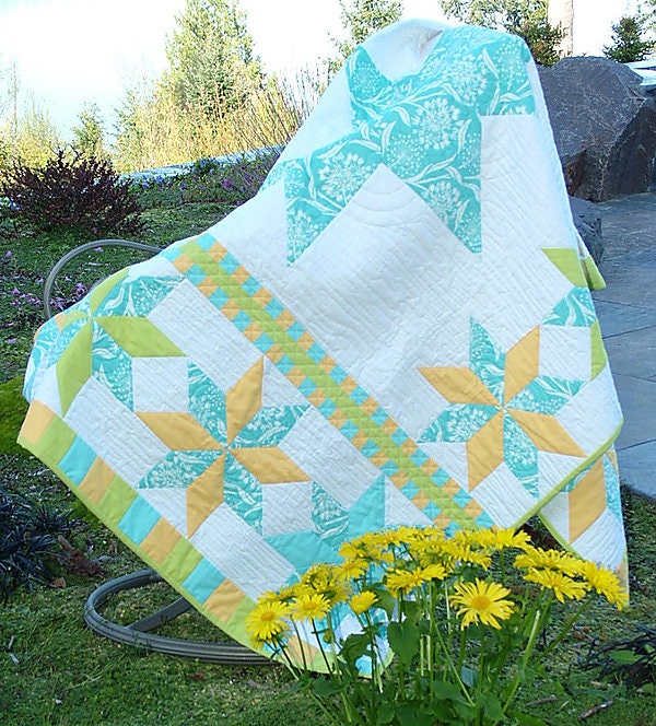 A Perfect Cut Quilt Pattern Book by Dodi Lee Poulsen of Two Sisters at Squirrel Hollow