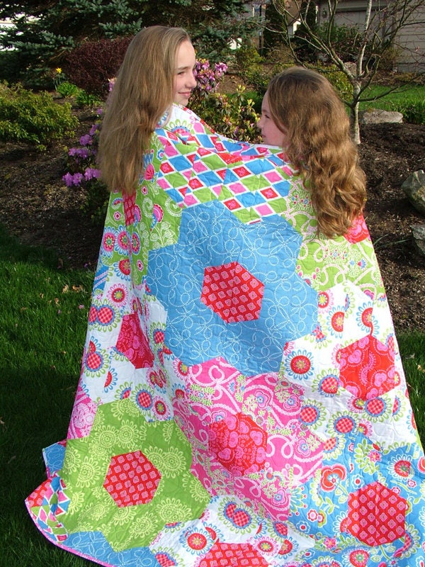 A Perfect Cut Quilt Pattern Book by Dodi Lee Poulsen of Two Sisters at Squirrel Hollow
