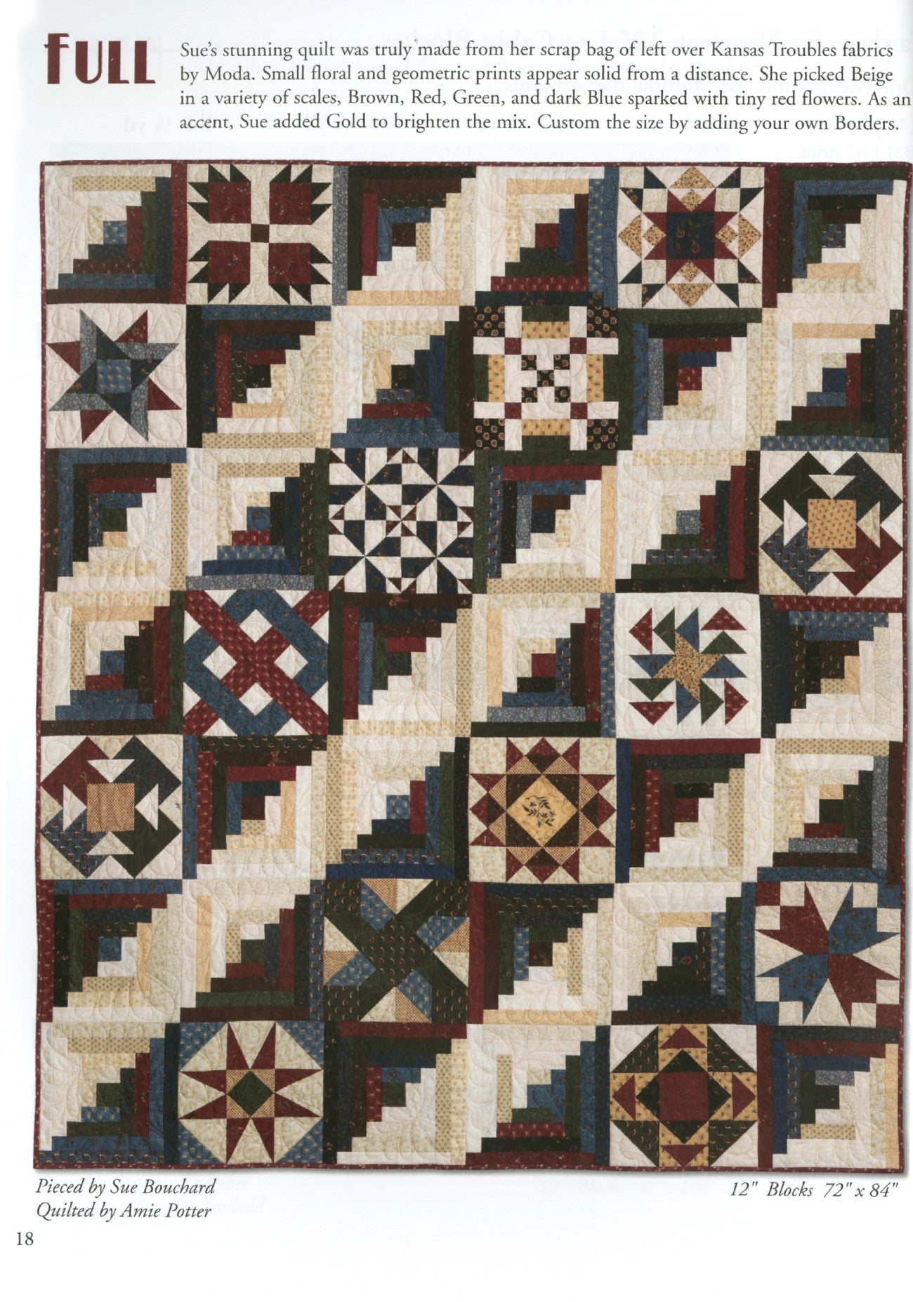 Forty Fabulous Years Quilt Pattern Book by Eleanor Burns for Quilt In A Day