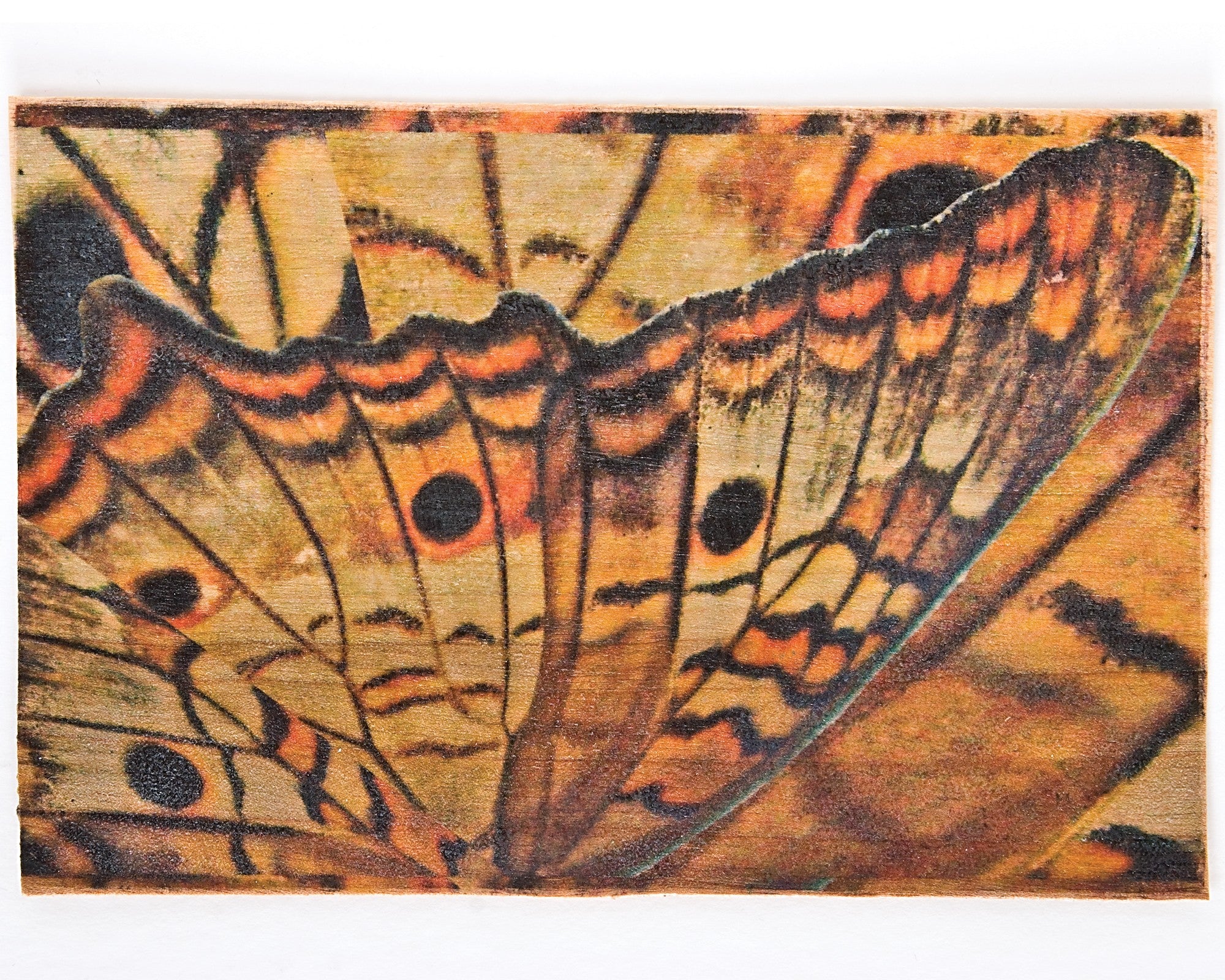 Lesley Riley's TAP Transfer Artist Paper 8-1/2-Inch x 11-Inch 18 Pack by C&T Publishing