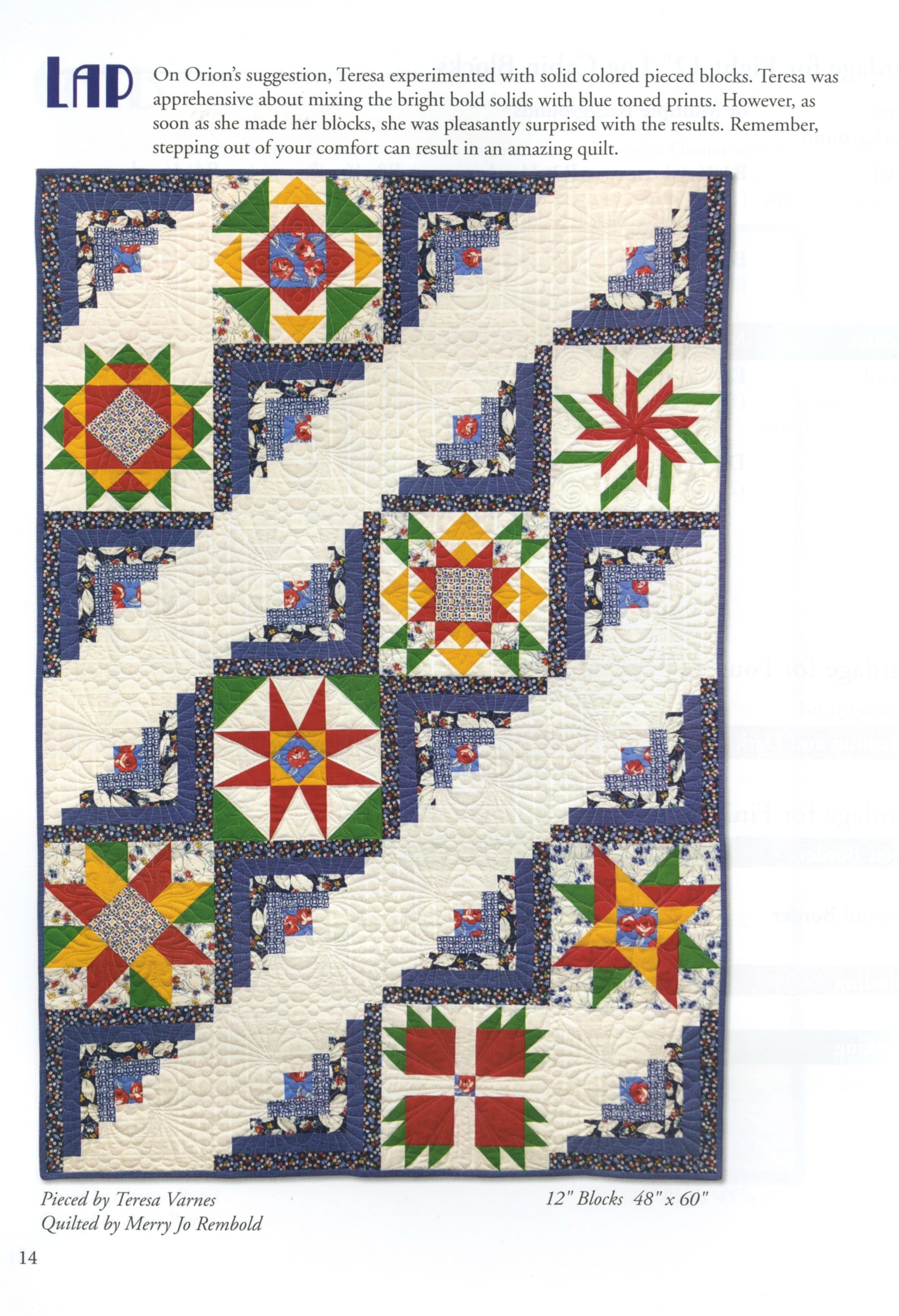Forty Fabulous Years Quilt Pattern Book by Eleanor Burns for Quilt In A Day - Dings & Dents